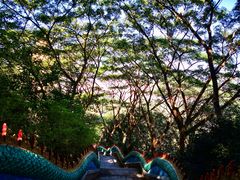 -西双版纳勐泐文化旅游区