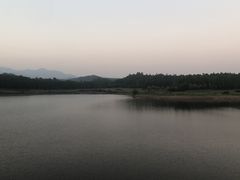 -惠州白鹭湖雅居乐喜来登度假酒店-采悦轩中餐厅