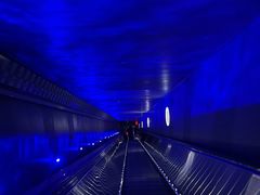 -白鹤梁水下博物馆