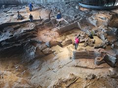 -自贡恐龙博物馆