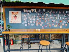 -柴犬高等学院·狗咖·柴犬售卖·宠物训练