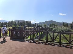 -四明湖