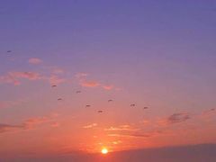 -加州红歌声宴KTV(白石洲店)