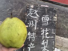 -赵州桥景区