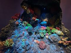 -中国湿地博物馆