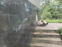 景点-碧峰峡风景区