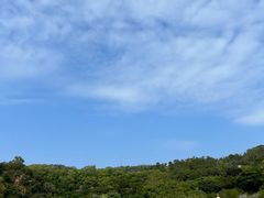 -广东惠东海龟国家级自然保护区