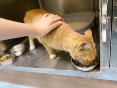 -萌兽医馆·犬猫专科·眼科中心·宠物医院(朝阳门分院)
