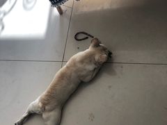 -平行世界·猫咖(首经贸店)