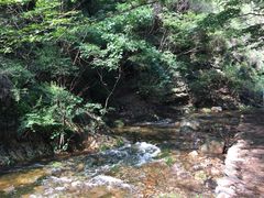 景点-九龙潭景区
