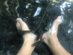 -三亚珠江南田温泉度假区