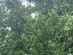 -春晖园度假酒店温泉