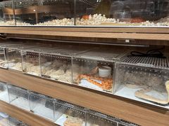 -酷以爬仙阁实体爬宠店·守宫·蜥蜴·专业繁育