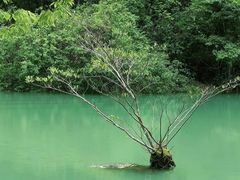 -黔府豆米火锅野菜馆(南马店)