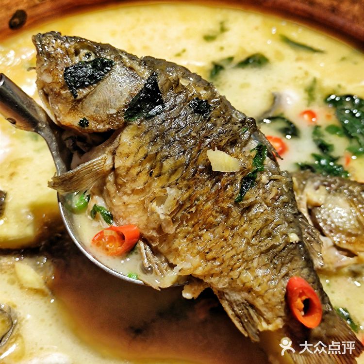 🌾稻田里的盛宴『湘颂』