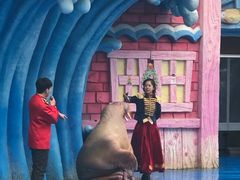 -华夏文旅海洋公园