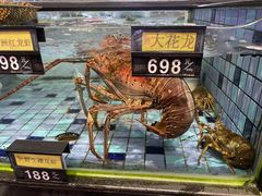 -凤城·食都
