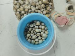 -启东黄金海滩景区