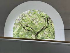 -尼依格罗香港美利酒店