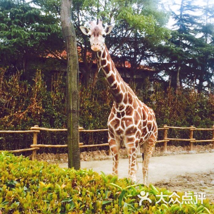 高小美010           高小美010           高小美010