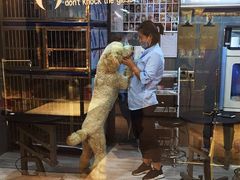 -悠尼宠物·独立低压伊珊娜洗护·美容·寄养(兰谷路店)