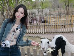 -水上乐园·欢乐世界