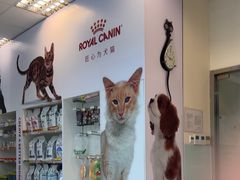 -瑞派申生动物医院·24H夜诊·国际动物医疗中心·骨外科(吴中路店)