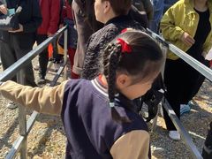 -瑞安圣井山景区