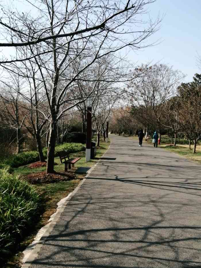 顾村公园-"购票方式:微信公众号"顾村公园服务号",."-大众点评移动版