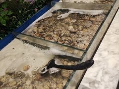 -火锅岛潮牌自助餐厅(天津天佑城店)