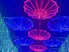 -哈尔滨文化公园