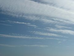 -紫丁香饭店-中餐厅