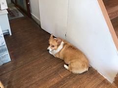 -Oasis coffee燕谷咖啡(公信店)