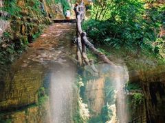 -鹿院坪生态旅游景区