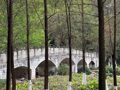 -重庆彩云湖湿地公园