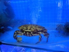 -鼓歌海鲜舫·手抓海鲜(大学城店)