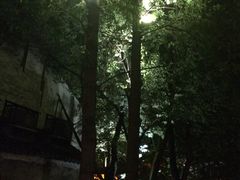 -乌镇望津里精品酒店