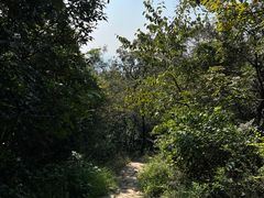 -杭州半山国家森林公园