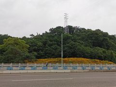 -渔人湾码头海鲜市场负二楼