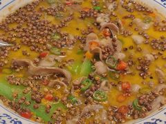 -新蜀会四川豆花(五羊店)