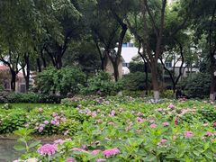 -常州古运河南大街文化旅游区-人民公园