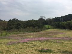 -福建鲤鱼洲酒店