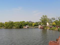 -杭州湾海上花田景区