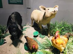 -武汉园博园(武汉自然博物馆)