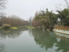 -桤木河湿地公园