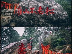 -牛背梁国家森林公园