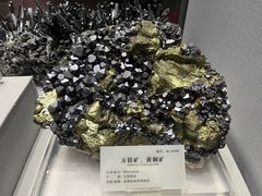 -湖南省地质博物馆