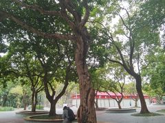 -南宁南湖公园
