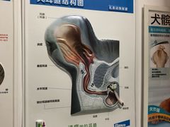 -宠福鑫动物医院(城北分院)