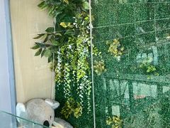 -了不起的考拉咖啡店(高新店)